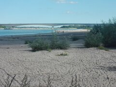 IMG_20210614_165045.jpg