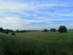 IMG_20210615_063555.jpg