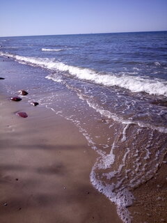 IMG_20210616_163036.jpg