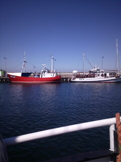 IMG_20210617_104728.jpg