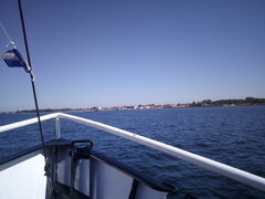 IMG_20210617_104047.jpg
