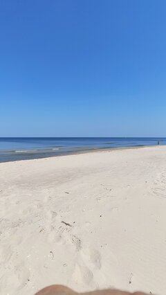 IMG_20210617_115526.jpg