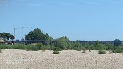 20210618_102533.jpg