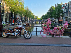 IMG-20210618-WA0005.jpg
