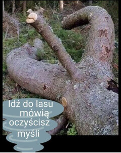 ta...