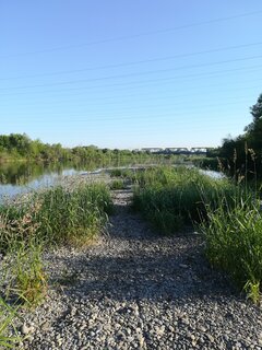 IMG_20210619_064215.jpg