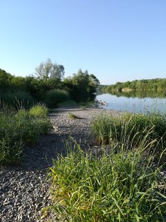 IMG_20210619_064219.jpg