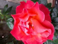 20210619_173503.jpg