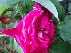 20210619_173525.jpg