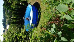 DSC_1984.JPG