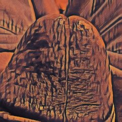 JPG_1623150501269.jpg