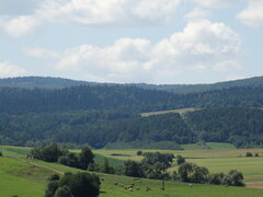 DSC01018.JPG