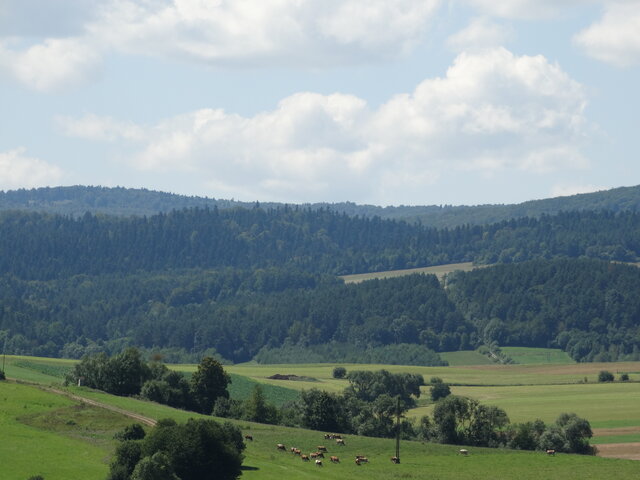 Bieszczzzad