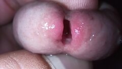 IMG_20210623_001116.jpg