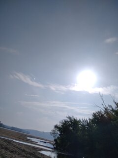 IMG_20210623_073736_1.jpg