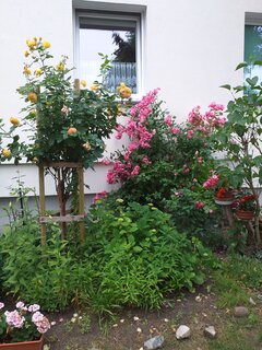 20210622_130135.jpg