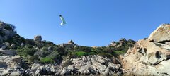 IMG_20210615_164748.jpg