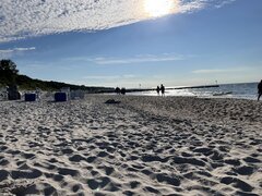 223BF21D-69A2-4065-B995-BE18670118D3.jpeg