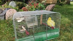 20210627_134506.jpg