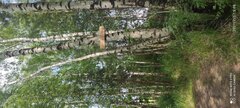 IMG_20210701_150847.jpg