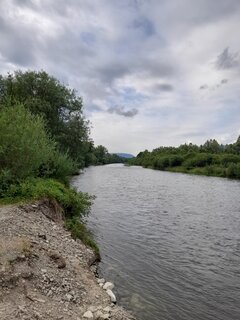 20210701_085138.jpg