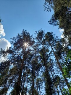 20210627_125528.jpg