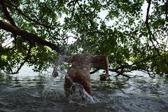 DSC05253.JPG