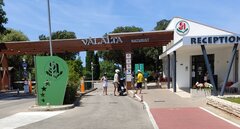 IMG_20210703_141649.jpg