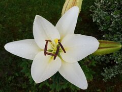 20210703_173137.jpg