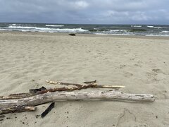 042C004B-A8E7-4198-9EC8-813A97CF3044.jpeg