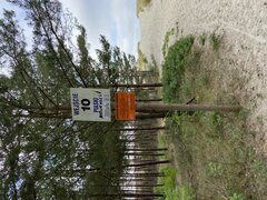 07430D07-FA20-41B8-A83C-528EAFD8921A.jpeg