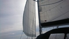 DSC_0123.JPG