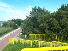20210704_170239.jpg