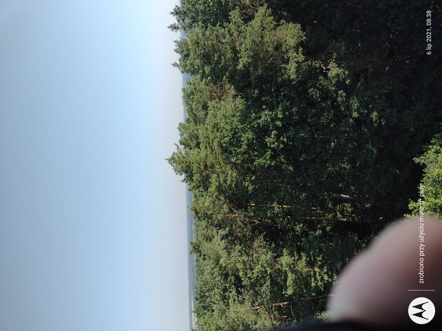 rewilug
