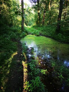 IMG_20210706_182002.jpg