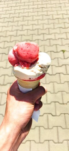 IMG_20210707_143511.jpg