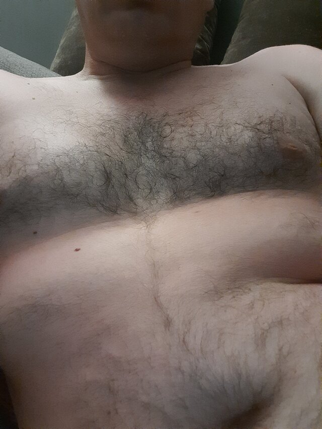 spidiii_