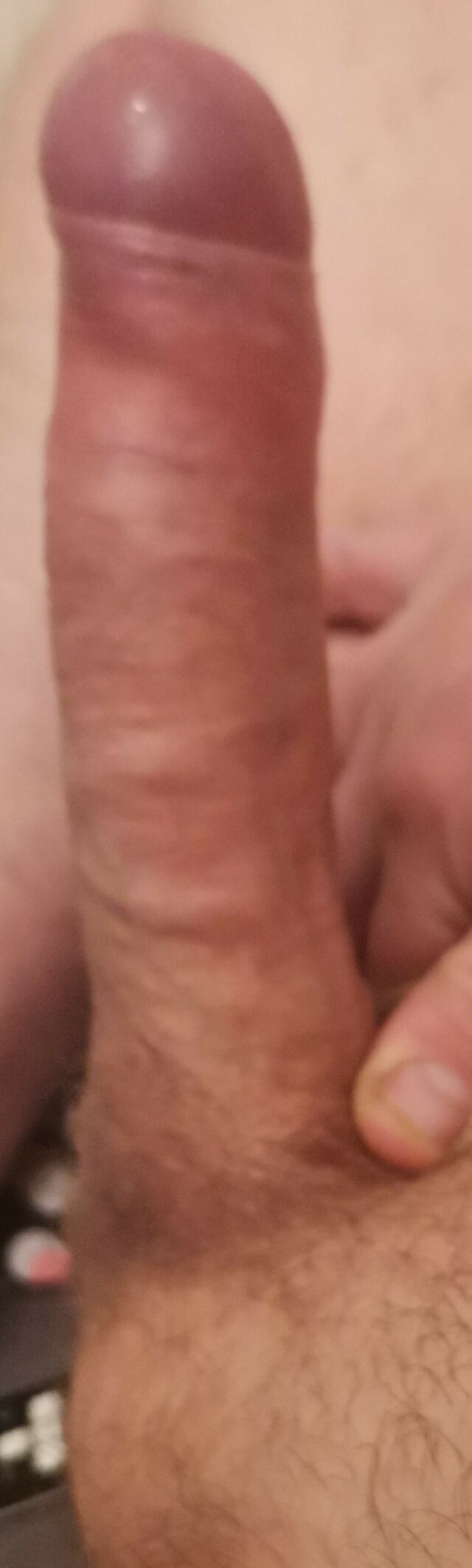 SJORS38MESKI