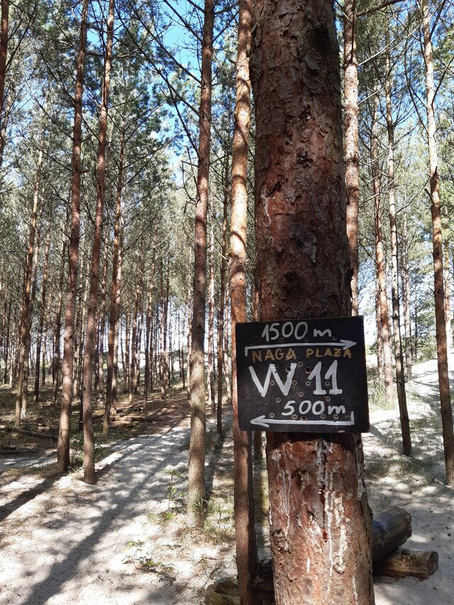 liboom