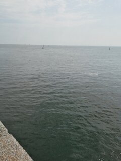 IMG_20210713_131543.jpg
