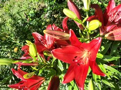 20210713_145715.jpg