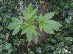 20200616_171639.jpg