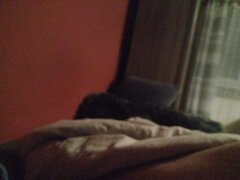 IMG_20210715_021604.jpg