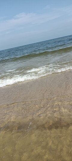 IMG20210715104749.jpg