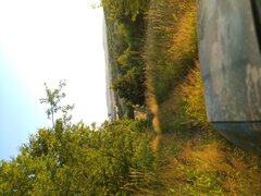 IMG_20210712_201722.jpg