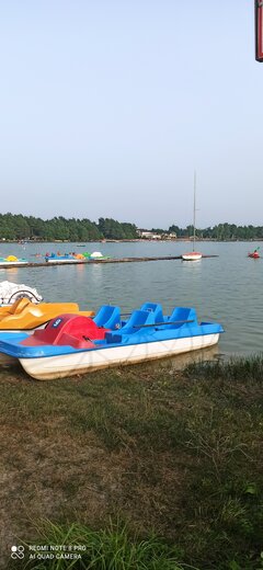 IMG_20210714_184045.jpg