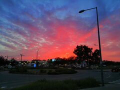 IMG_20210524_205126.jpg