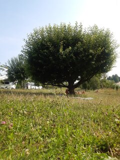 20210717_165950.jpg