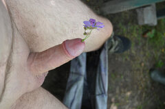 DSC_6800.JPG