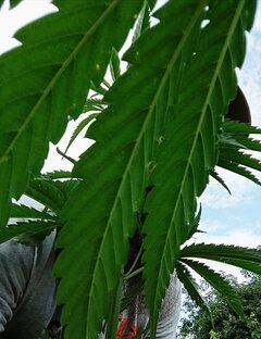 _20210717_183256.JPG